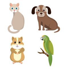 pet mascot isolated icon vector illustration design