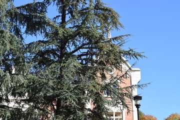 Palacio de la Isla, Burgos. 