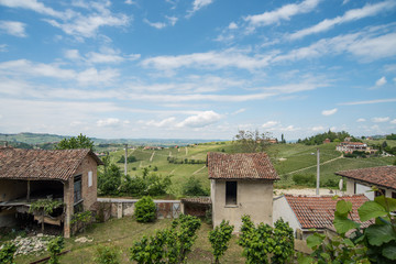Fototapeta na wymiar Piemonte - Le Langhe terre di castelli e vino 