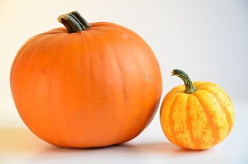 Pumpkin and Squash on white background
