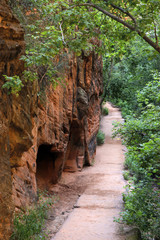 path rock wall trees