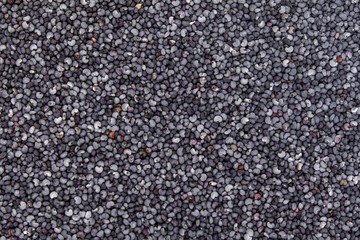 Poppy seeds