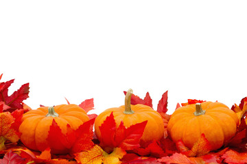 Autumn Time Background