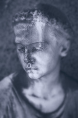 Fototapeta premium Trauer