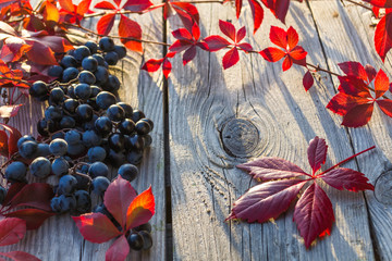 grapes on the table 13