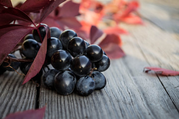 grapes on the table 24