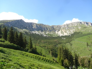 Fototapeta na wymiar Hohe Veitsch, Müzsteger Alpen, Steiermark