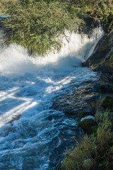 Upper Tumwater Falls 3