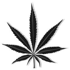 Cannabis leaf vector isolated