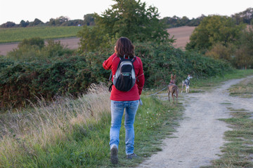 Woman to walk with two dogs on a leash. A young woman with a backpack on a dirt road with her dogs. 