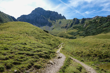 Fototapeta premium Sommer am eisenerzer Reichenstein in den Alpen