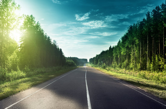 Fototapeta road in sunny forest