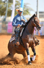 The front view of a rider in cowboy chaps, boots and hat on a horseback running ahead and stopping the horse in the dust.