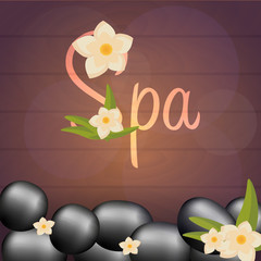 Spa salon banner with stones. Thai Massage. Wood texture. Vector illustration