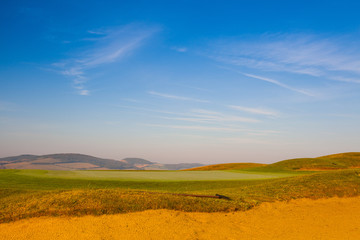 The detail of green field at sunrise