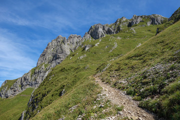 Obraz premium Sommer am eisenerzer Reichenstein in den Alpen