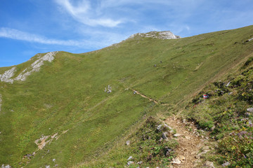 Obraz premium Sommer am eisenerzer Reichenstein in den Alpen