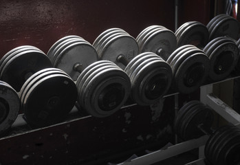 Rugged dumbells on rack at gym. 