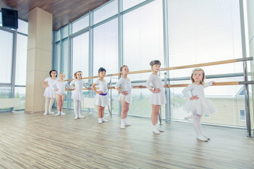 Fototapeta premium Group of seven little ballerinas standing in row and practicing 