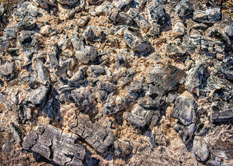 ashes of burnt wood