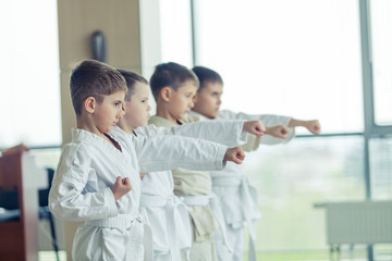 young, beautiful, successful multi ethical kids in karate positi © satyrenko