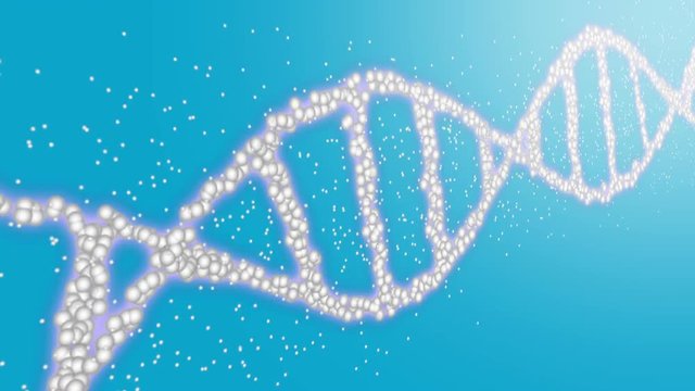 animation of a rotating dna helix with scatter effect over a blue background, full hd, loopable