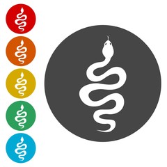 Snake icon set - vector 