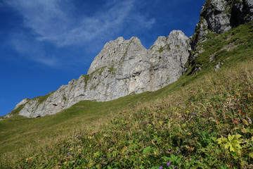 Sommer am eisenerzer Reichenstein in den Alpen