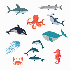 Fototapeta premium Marine Life Vector Design Illustration