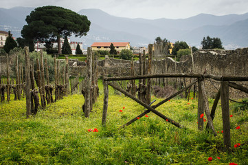Pompeii
