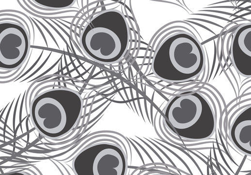 Black and White Abstract Peacock Feather Pattern