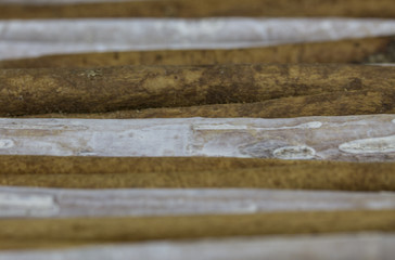 Hintergrund aus weißen und naturfarbenen Zimtstangen