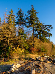 Puget Sound Beach