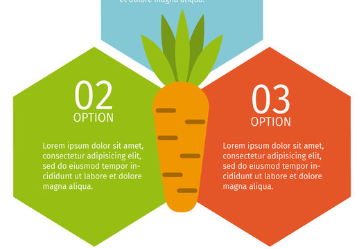 3 Hexagonal Tile Nutrition Infographic with Carrot Icon