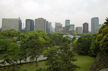 Obraz premium park n cityscape