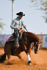 The side view of a rider in cowboy chaps, boots and hat on a horseback running ahead and stopping the horse in the dust.