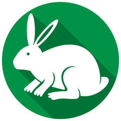 rabbit flat icon