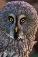 mirada