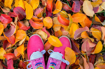 Shoes woman and child standing in many of the fallen autumn