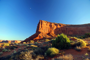 Arizona Landscape