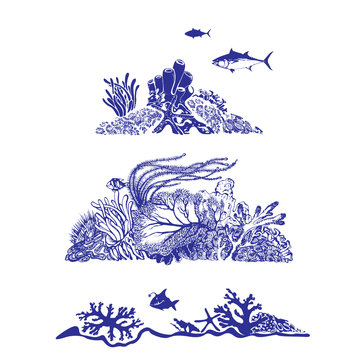 Underwater world and beautiful sealife. Fish, coral reef, polyps and deep water plants. Vector Illustration