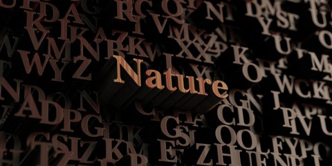 Nature - Wooden 3D rendered letters/message.  Can be used for an online banner ad or a print postcard.