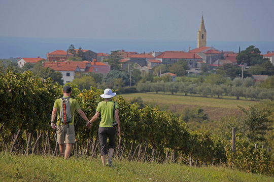 helene n patrick by vineyards
