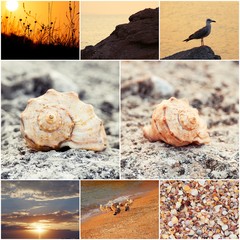 Wild nature of the sea collage of toned sunset photos.
