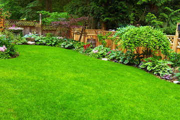 Home Garden. A beautifully arranged and trimmed home garden.