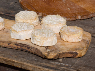 Natural  mountain cheeses with mold on rind on wooden board