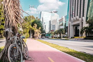 Bike Path in the Streets of Sao Paulo, Brazil (Brasil) - 124925889