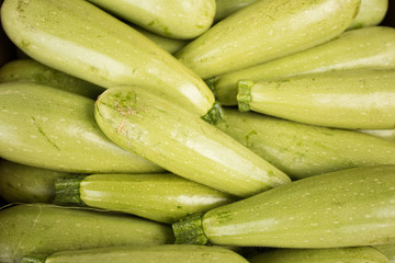 Fresh zucchini. Background