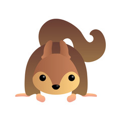 Obraz premium Isolated cute animal