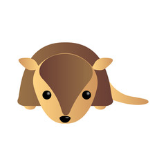 Isolated cute animal